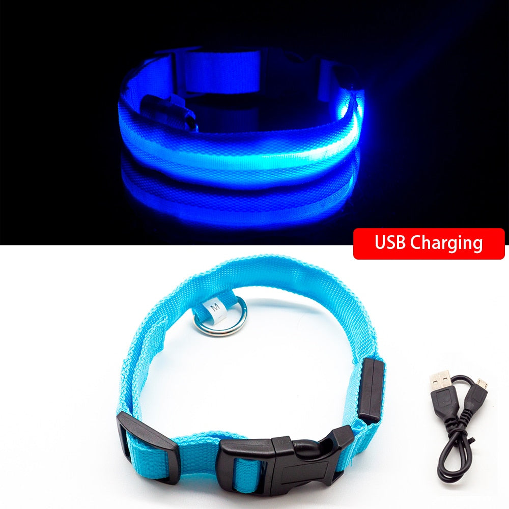 LED rechargeable safety necklace Dog collar! - petsany