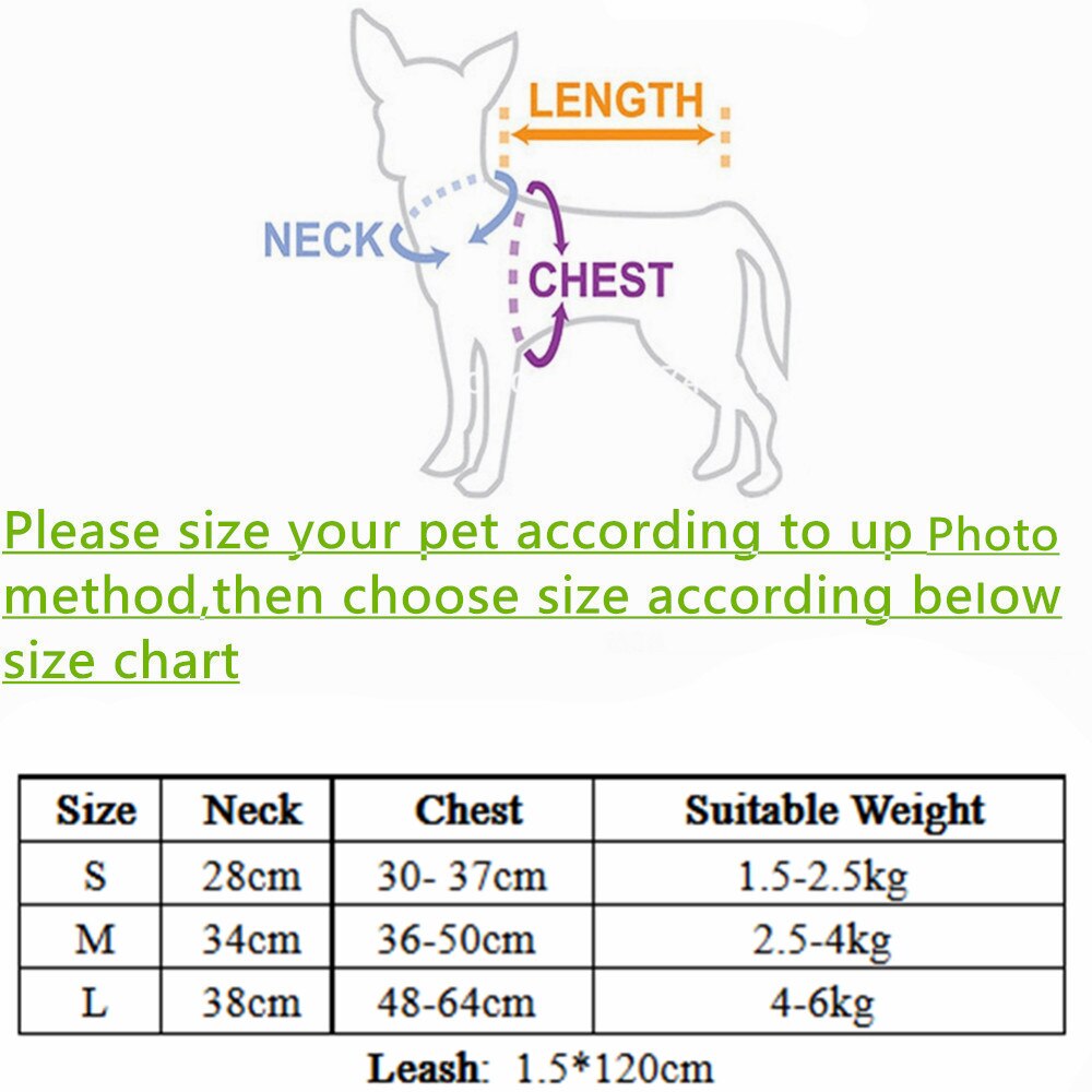 Breathable Mesh Pet Harness and Leash Set Small Dog Chest Back Strap Puppy Cat Vest Harnesses Collar Bulldog Traction Rope - petsany
