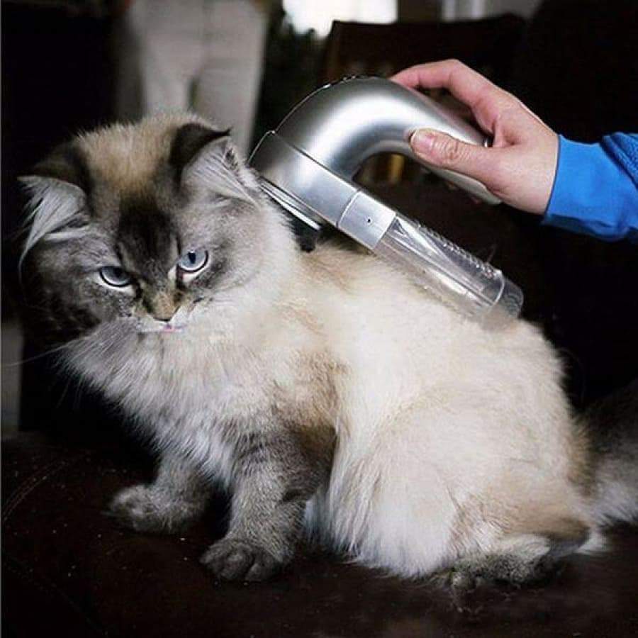 Handheld electric pet hair vacuum - petsany