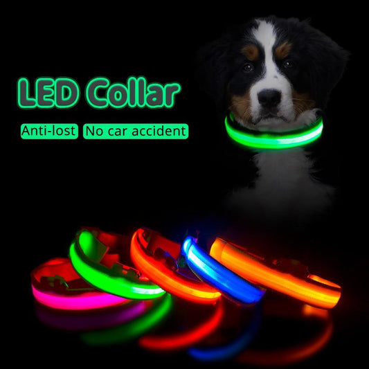 LED rechargeable safety necklace Dog collar! - petsany