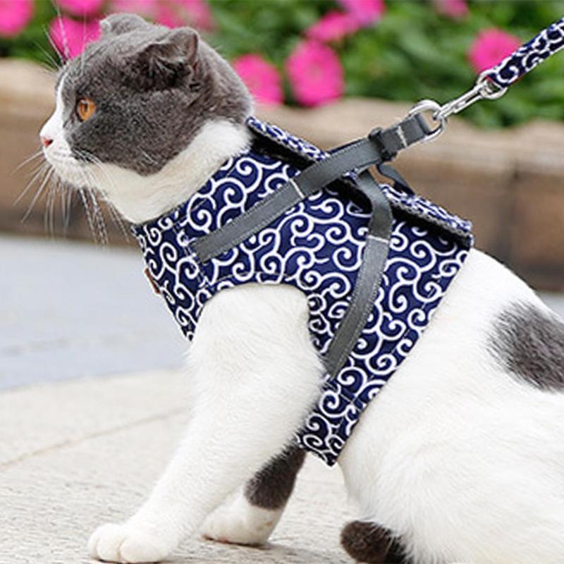 Cat Harness + Leash Set - petsany